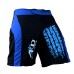 ARD CHAMPS™ Pro MMA Fight Shorts UFC Cage Fight Grappling Muay Thai Boxing